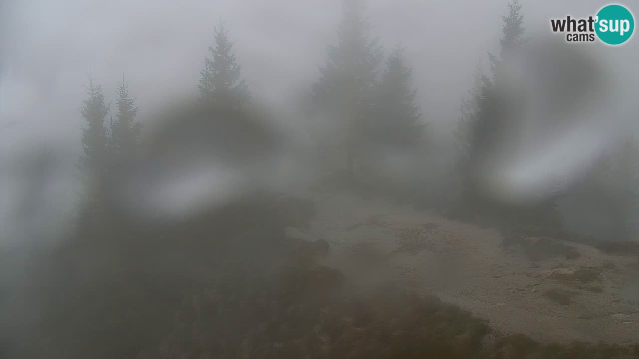 Webcam Chalet sur Golica (1582 m) – Slovénie