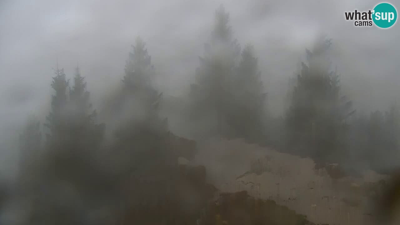 Webcam Koča na Golici (1582 m) – Slovenia