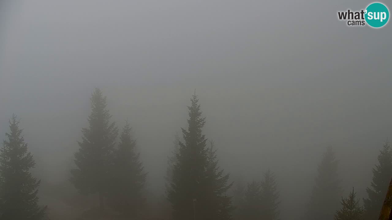 Webcam Koča na Golici (1582 m) – Slovenia