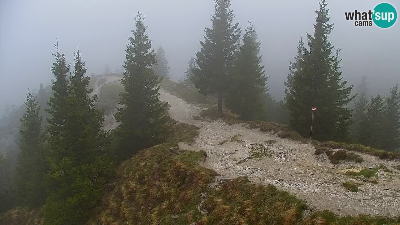 Koča na Golici Webcam (1582 m) – Slowenien