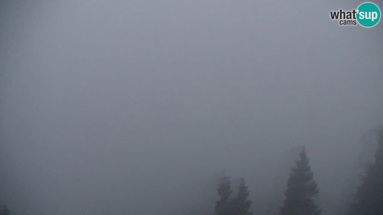 Koča na Golici Webcam (1582 m) – Slowenien