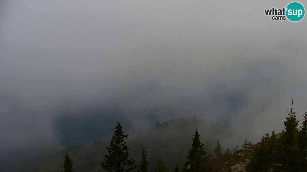 Webcam Koča na Golici (1582 m) – Slovenia