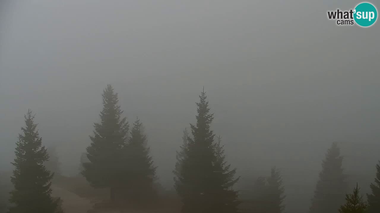 Web kamera Koča na Golici (1582 m) – Slovenija
