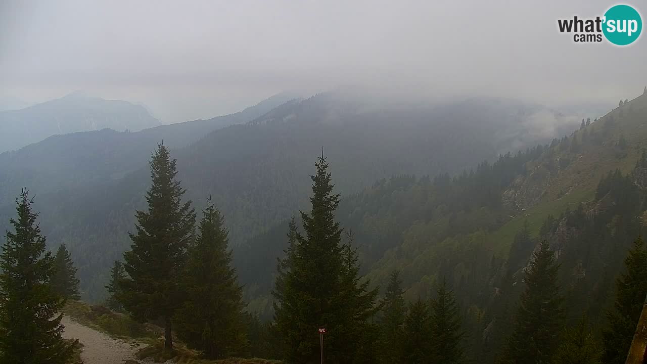 Web kamera Koča na Golici (1582 m) – Slovenija