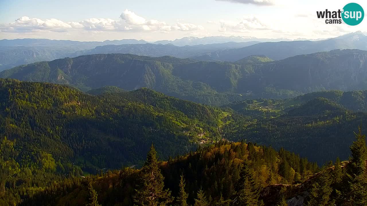 Koča na Golici Webcam (1582 m) – Slowenien