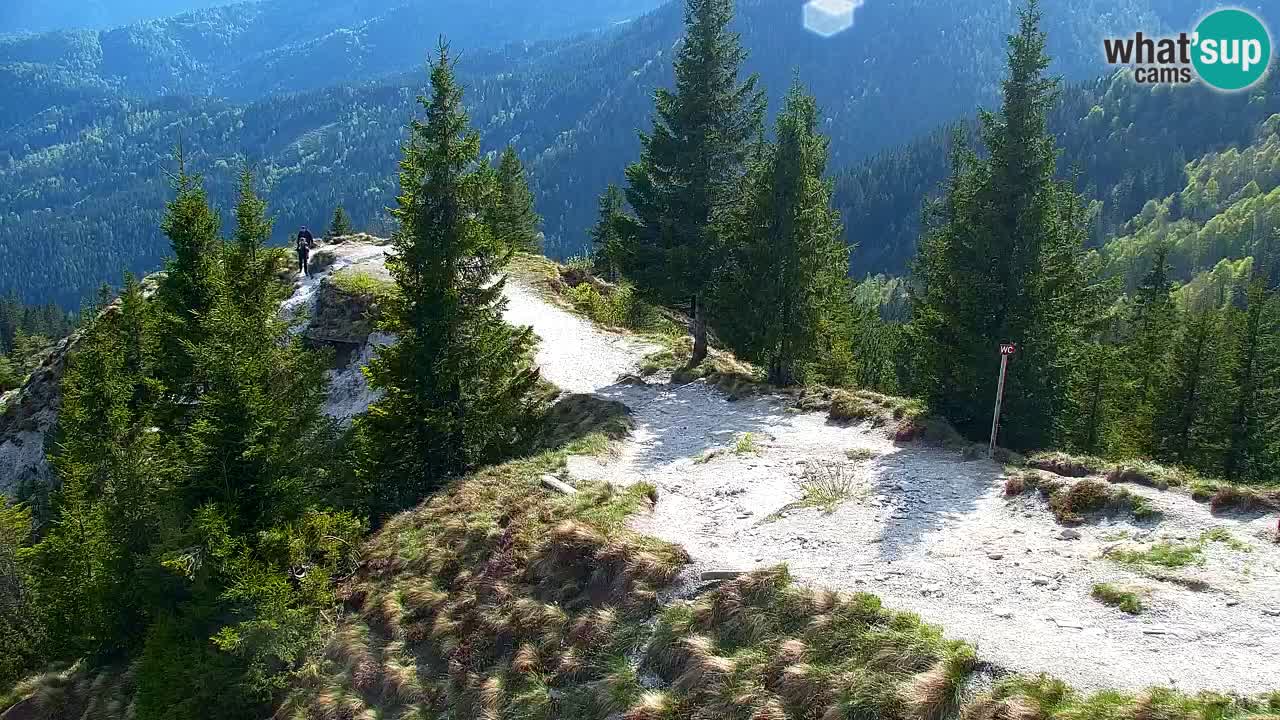 Web kamera Koča na Golici (1582 m) – Slovenija