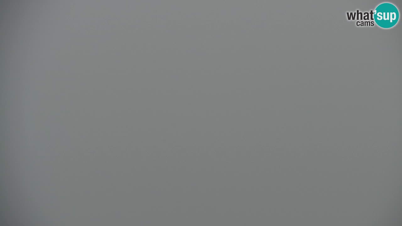 Web kamera Koča na Golici (1582 m) – Slovenija