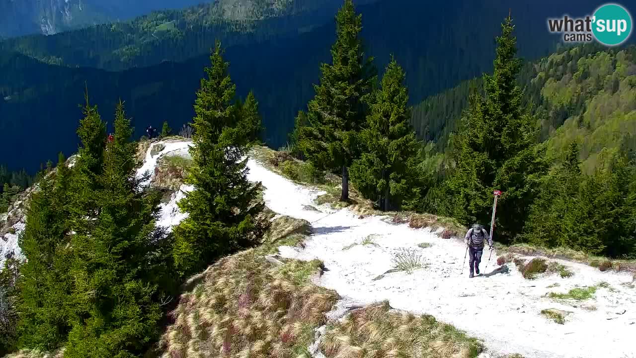 Koča na Golici Webcam (1582 m) – Slowenien