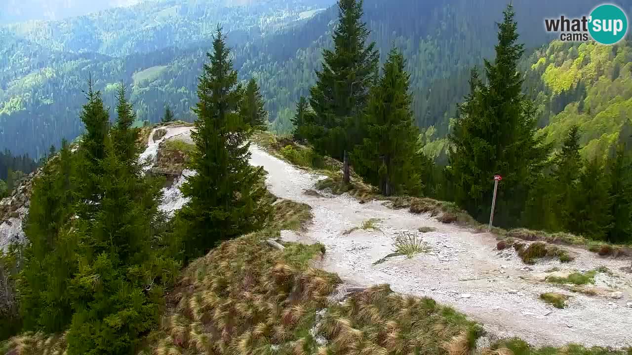 Webcam Koča na Golici (1582 m) – Slovenia