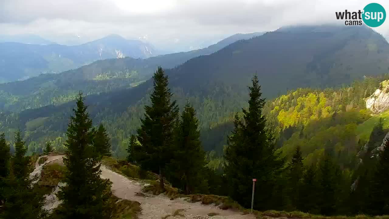 Webcam Koča na Golici (1582 m) – Slovenia