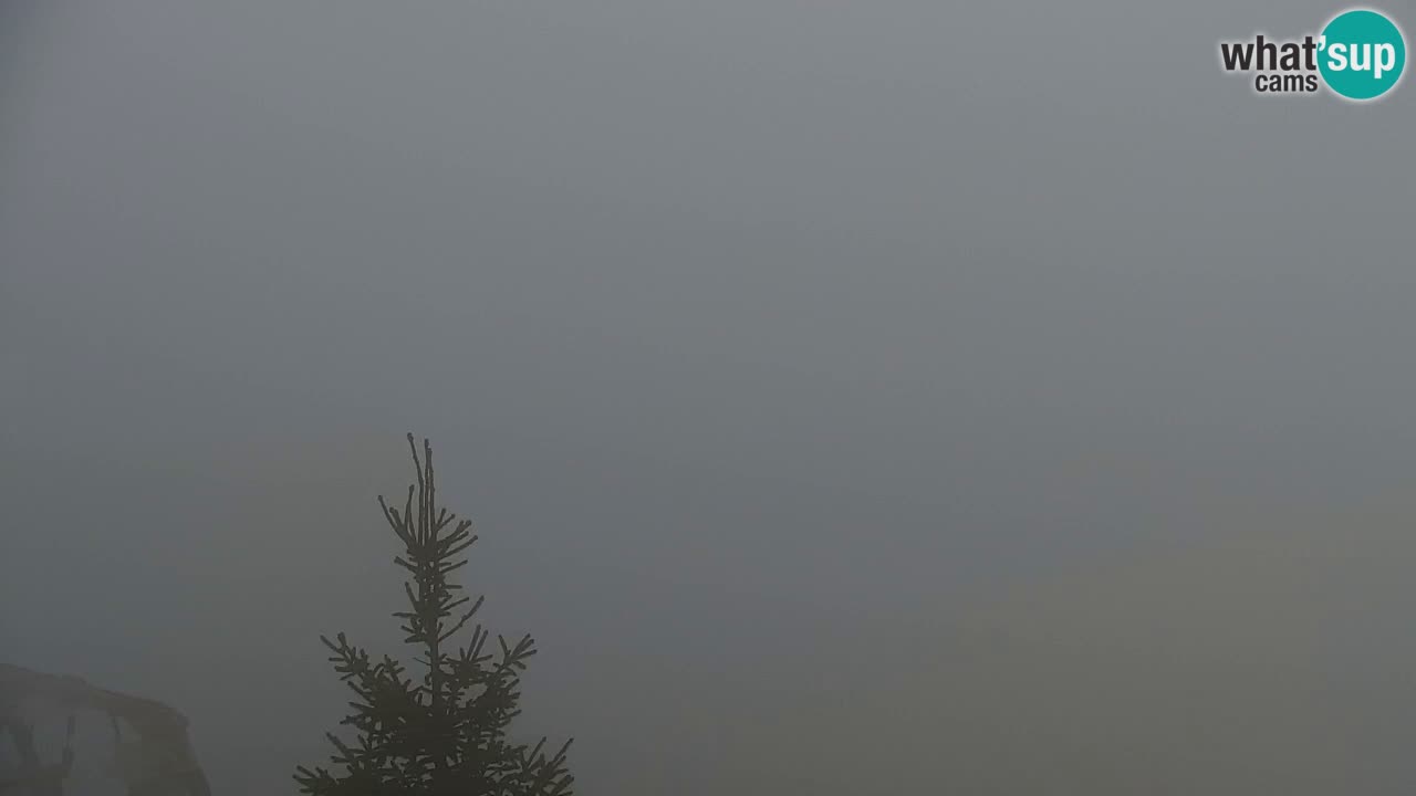 Webcam Koča na Golici (1582 m) – Slovenia