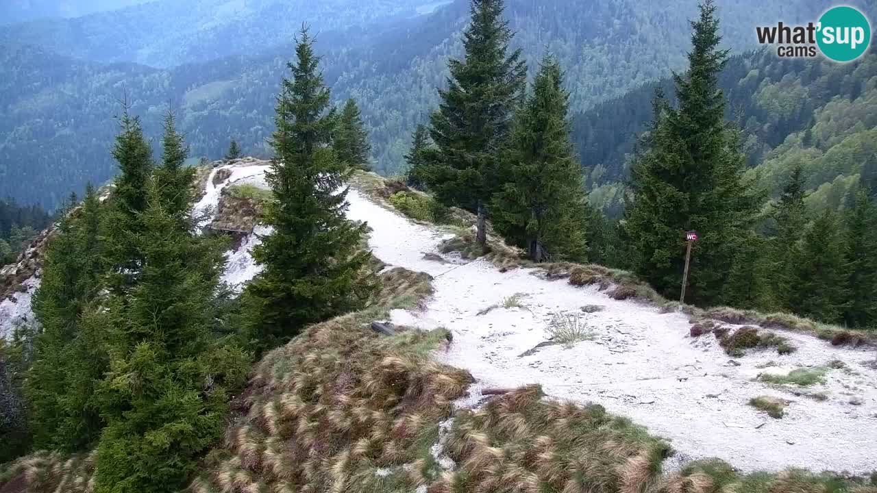 Webcam na Golici – Baita di montagna (1582 m) – Slovenia