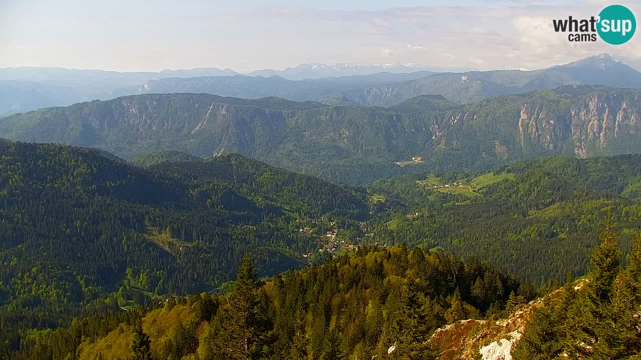Web kamera Koča na Golici (1582 m) – Slovenija