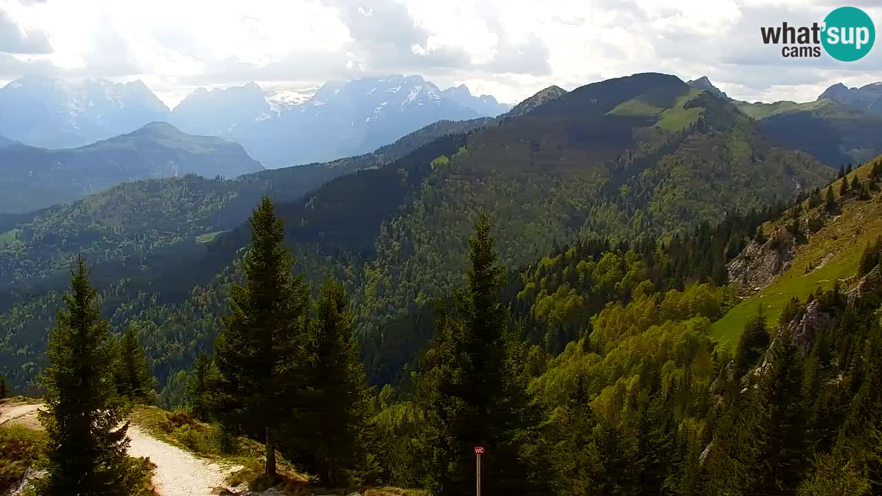 Webcam Koča na Golici (1582 m) – Slovenia