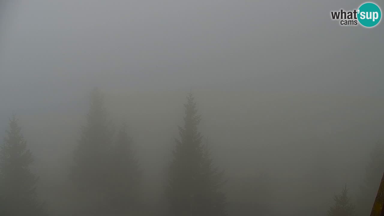 Koča na Golici Webcam (1582 m) – Slowenien