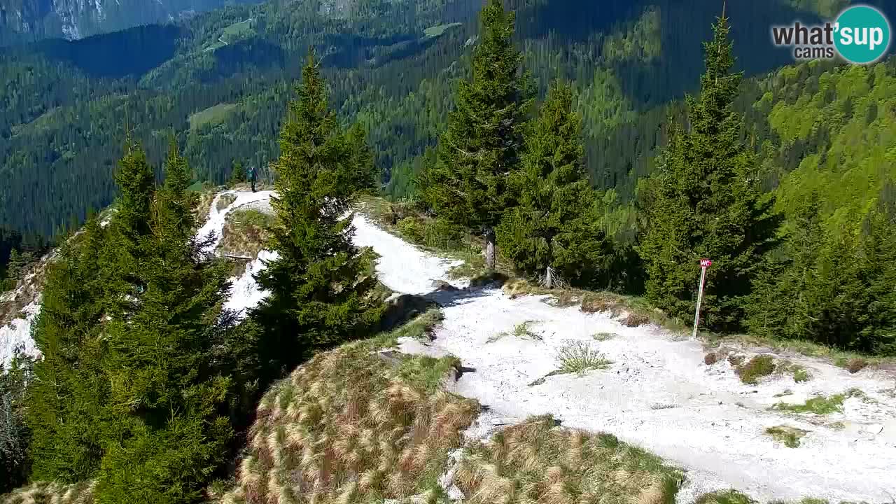 Spletna kamera Koča na Golici (1582 m) – Jesenice