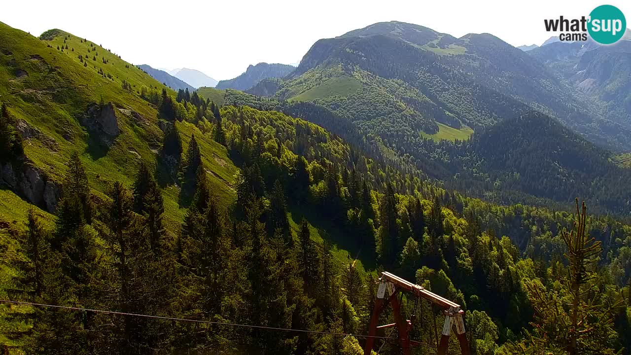 Webcam Koča na Golici (1582 m) – Slovenia