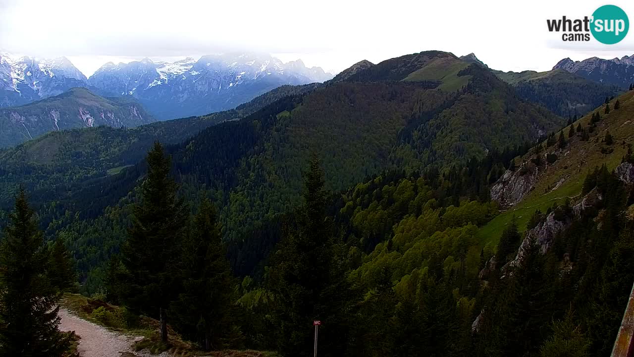 Webcam Koča na Golici (1582 m) – Slovenia