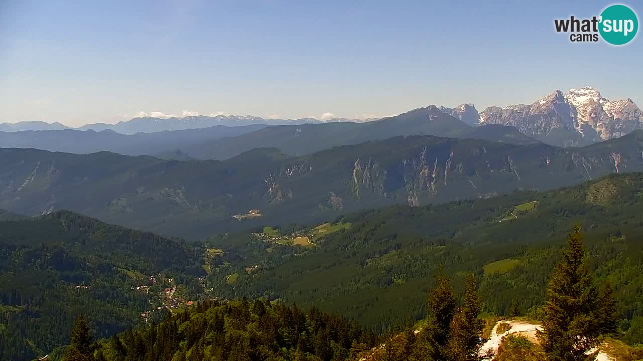 Webcam Koča na Golici (1582 m) – Slovenia