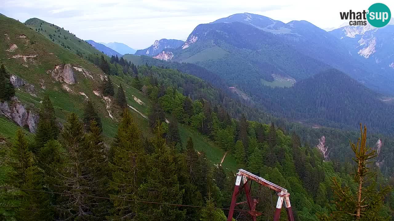 Web kamera Koča na Golici (1582 m) – Slovenija