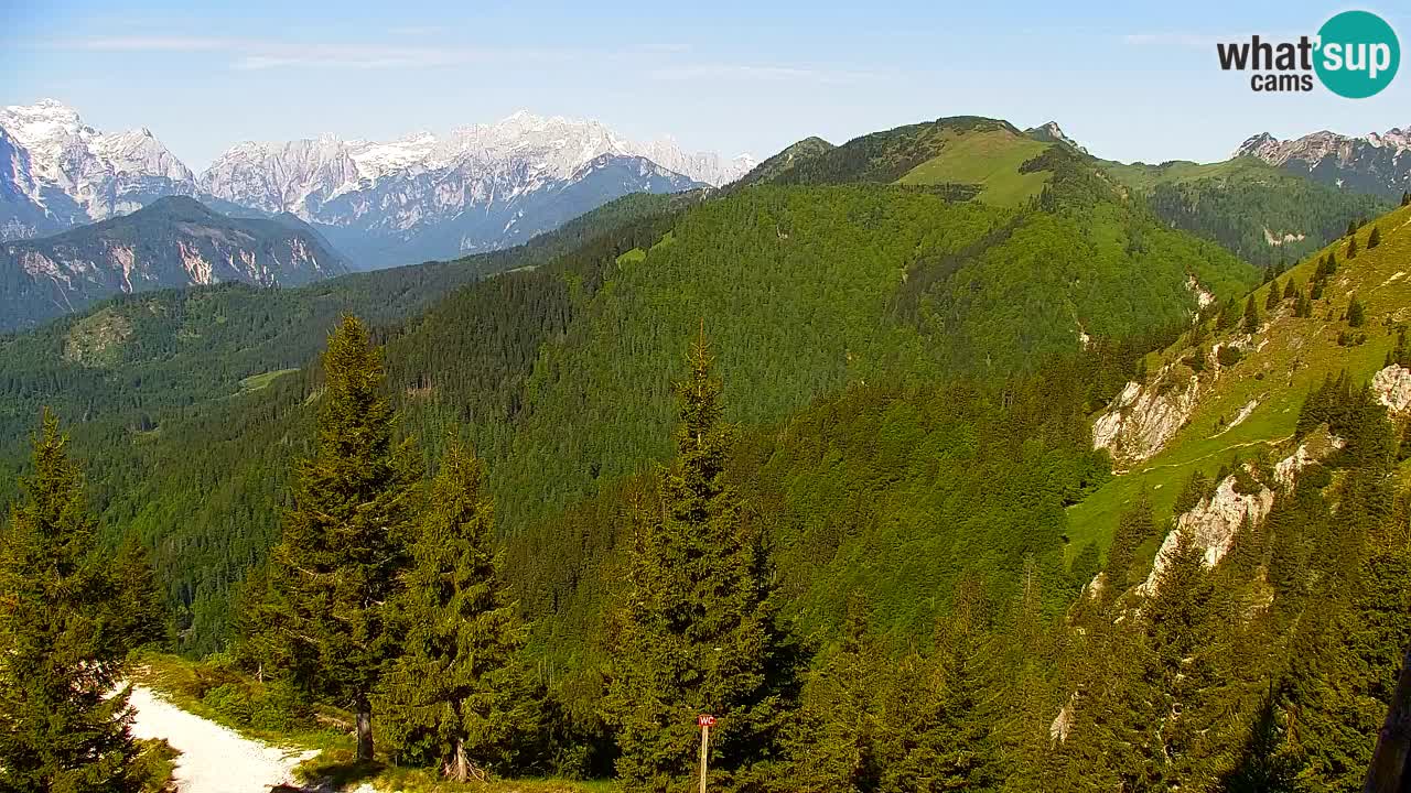 Webcam Koča na Golici (1582 m) – Slovenia