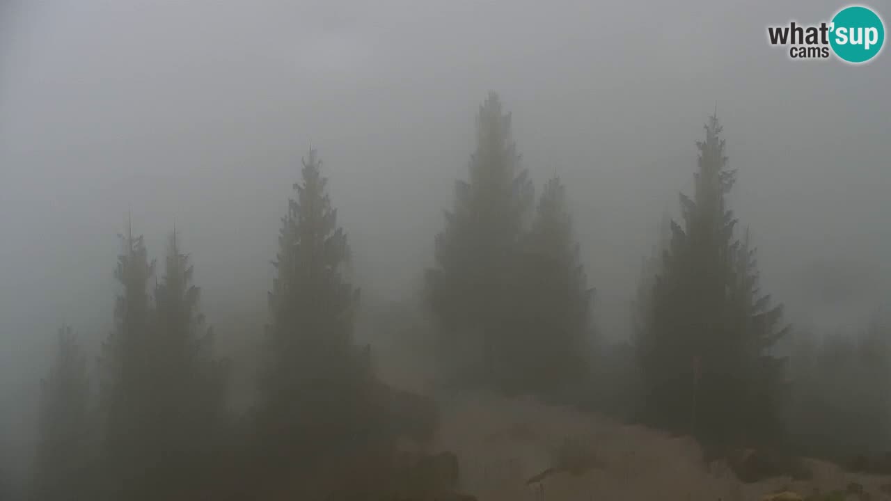Webcam na Golici – Baita di montagna (1582 m) – Slovenia