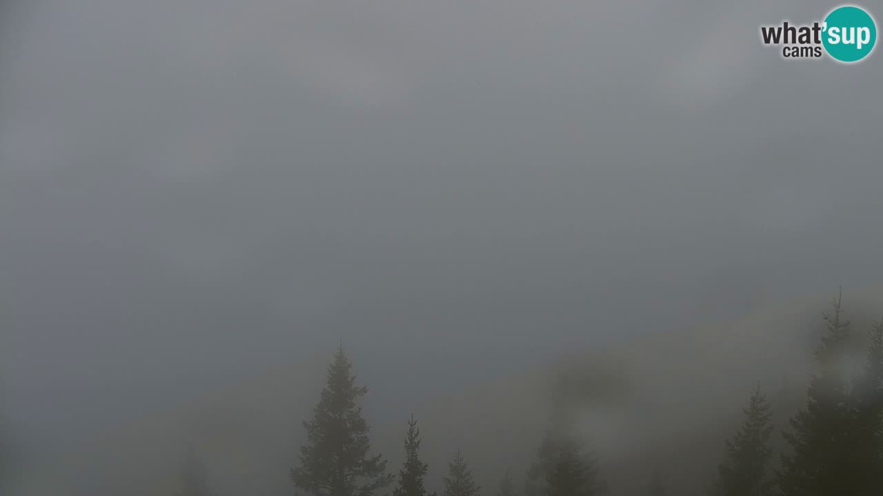 Webcam Koča na Golici (1582 m) – Slovenia