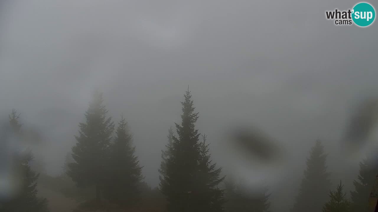 Web kamera Koča na Golici (1582 m) – Slovenija