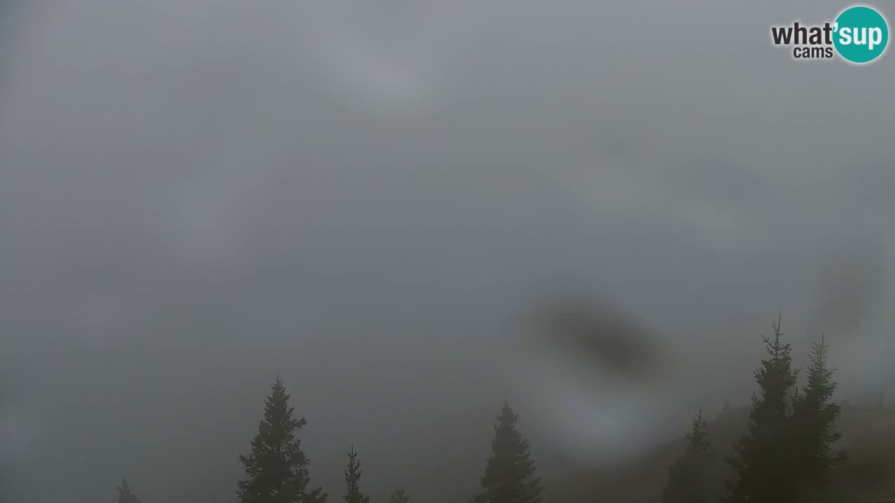 Web kamera Koča na Golici (1582 m) – Slovenija