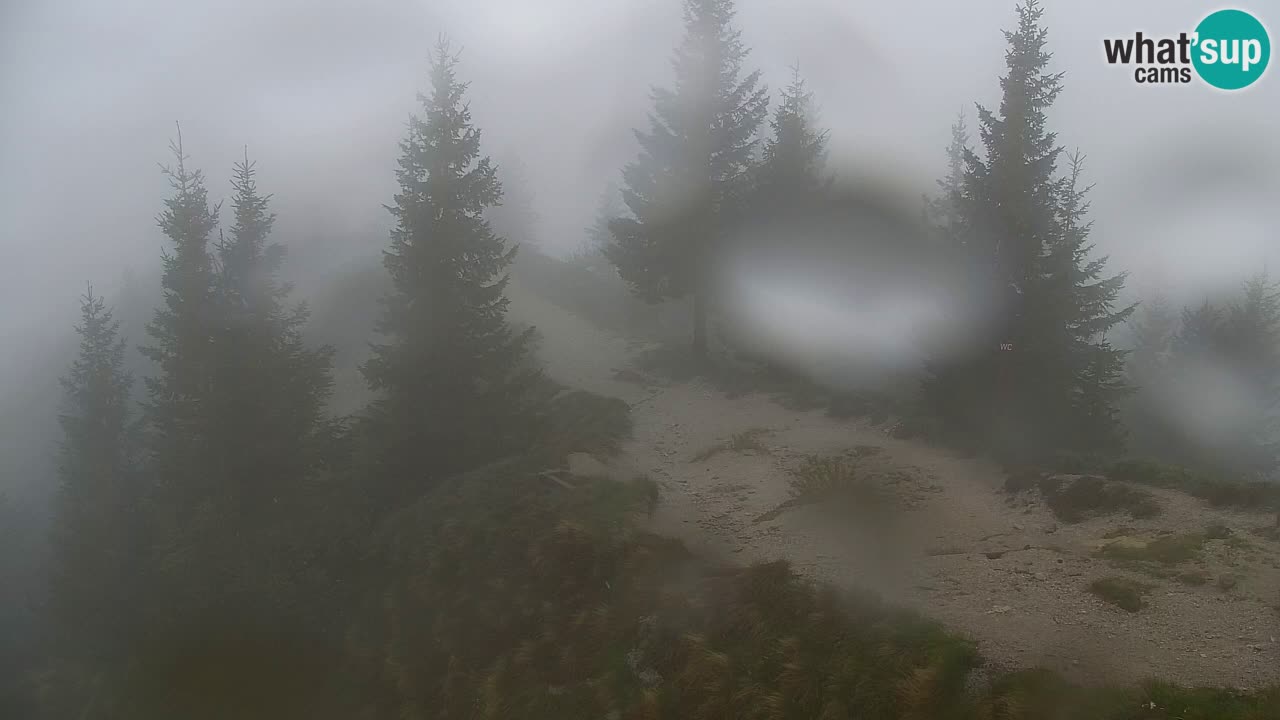 Web kamera Koča na Golici (1582 m) – Slovenija