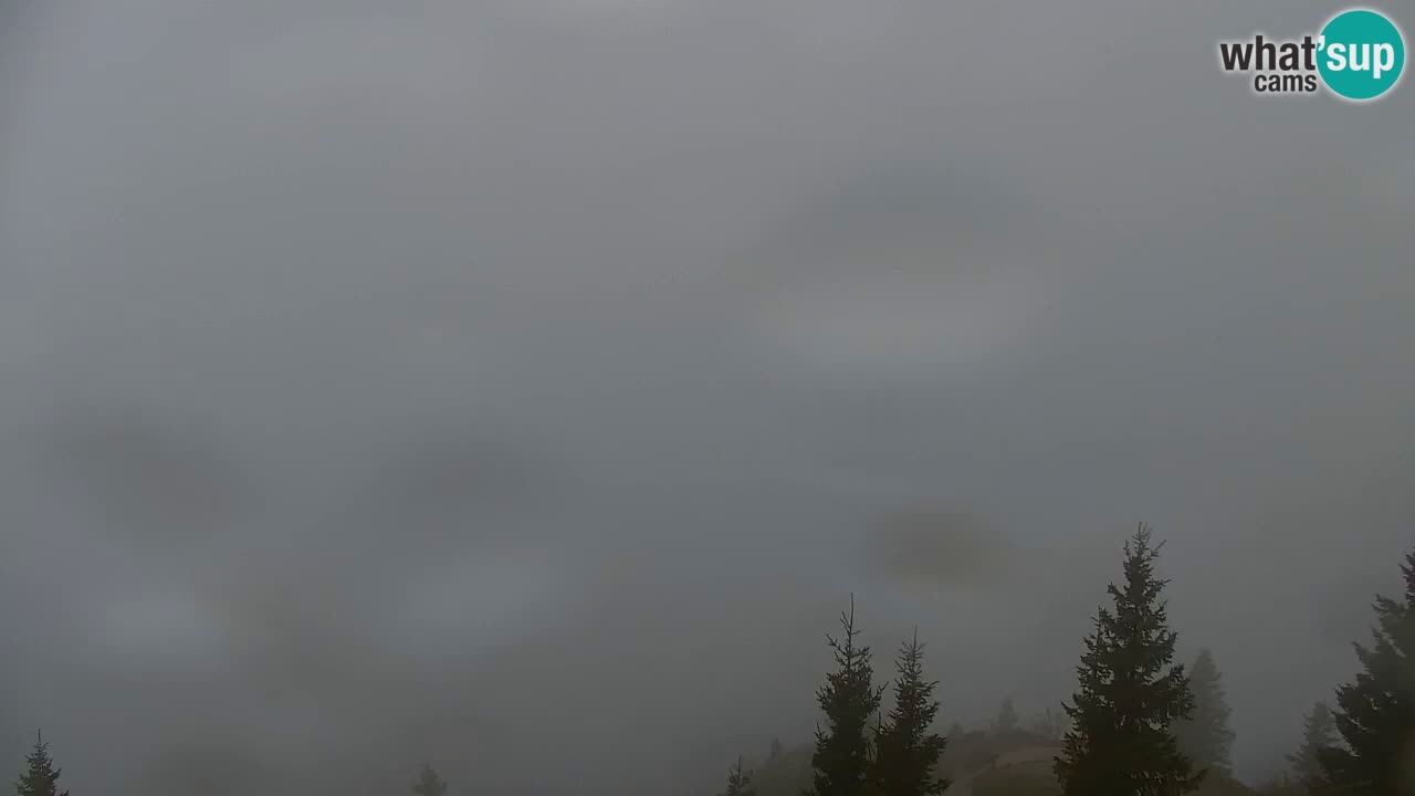 Web kamera Koča na Golici (1582 m) – Slovenija