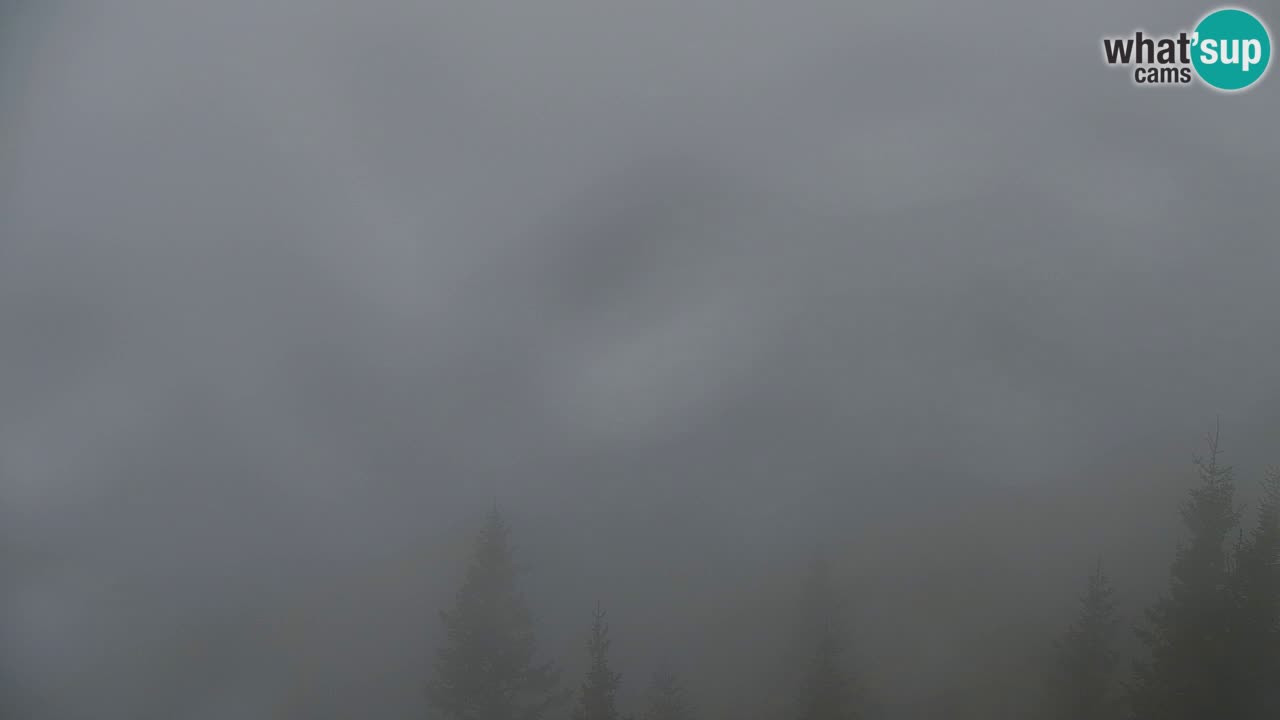 Koča na Golici Webcam (1582 m) – Slowenien