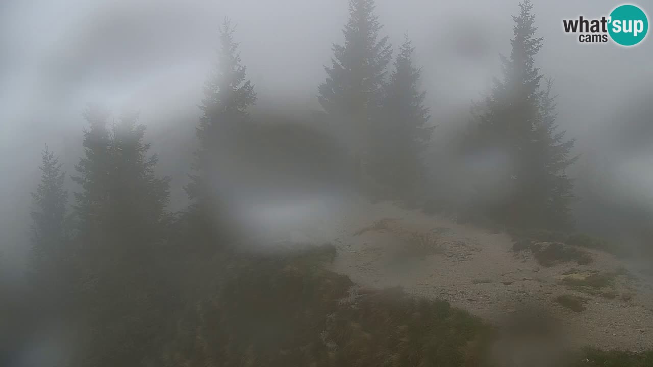Web kamera Koča na Golici (1582 m) – Slovenija