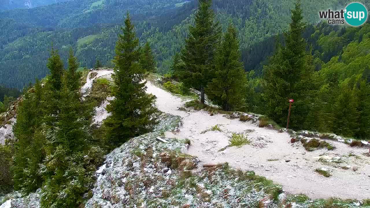 Web kamera Koča na Golici (1582 m) – Slovenija