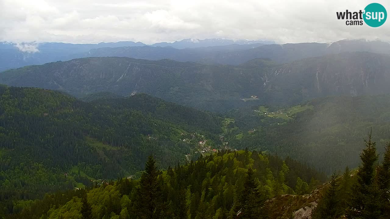Web kamera Koča na Golici (1582 m) – Slovenija