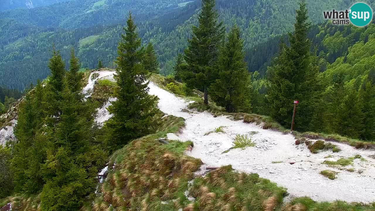 Web kamera Koča na Golici (1582 m) – Slovenija