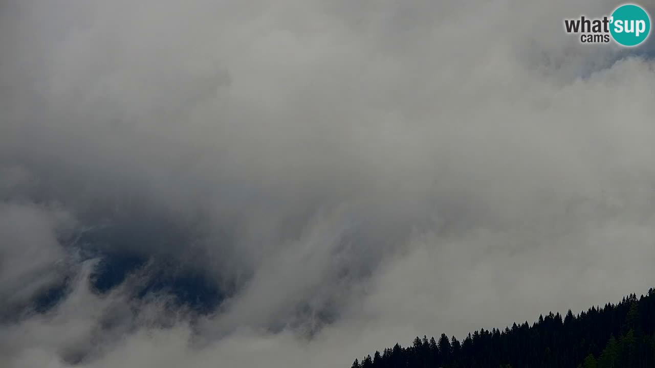 Koča na Golici Webcam (1582 m) – Slowenien