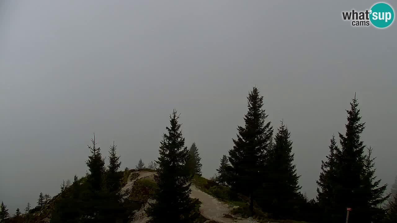 Webcam na Golici – Baita di montagna (1582 m) – Slovenia