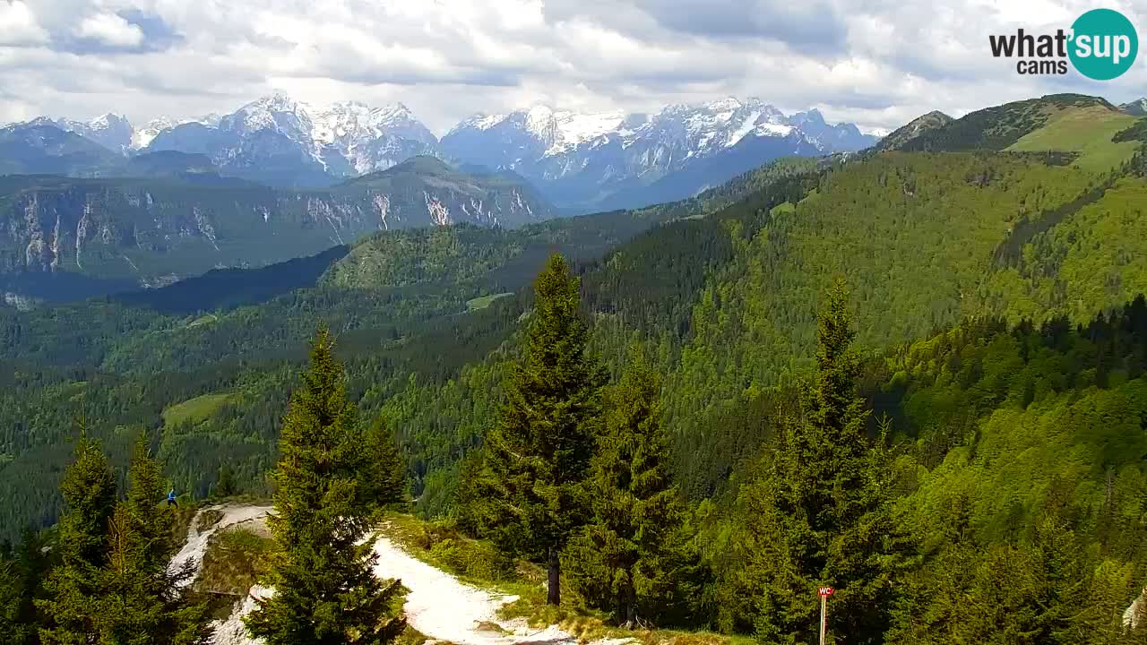Webcam Koča na Golici (1582 m) – Slovenia