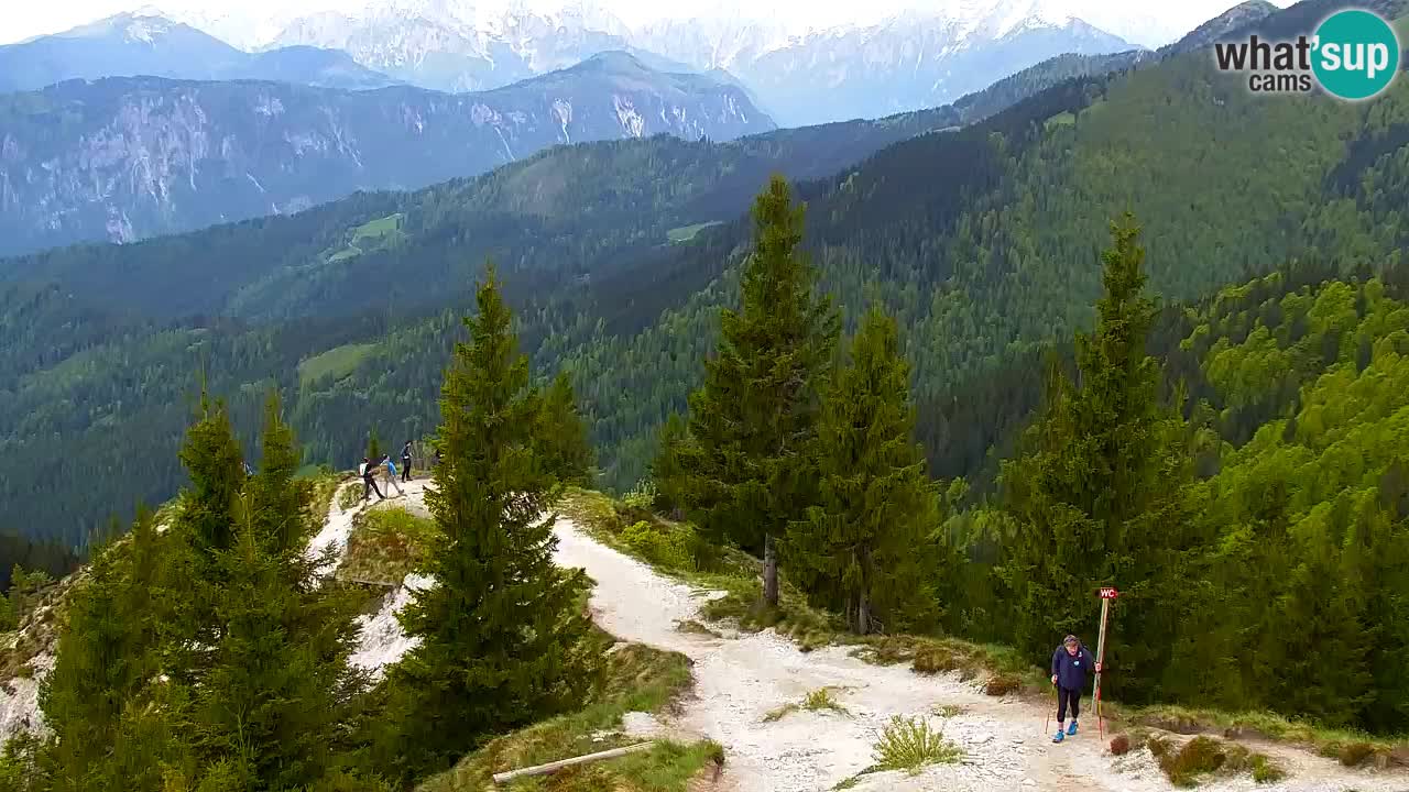 Webcam Koča na Golici (1582 m) – Slovenia