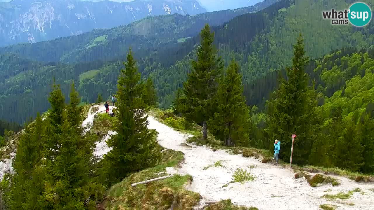 Koča na Golici Webcam (1582 m) – Slowenien