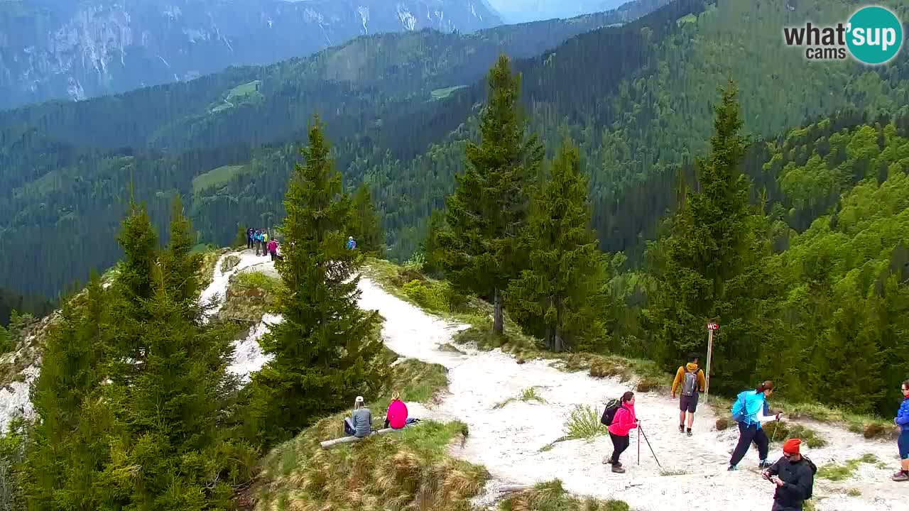 Web kamera Koča na Golici (1582 m) – Slovenija
