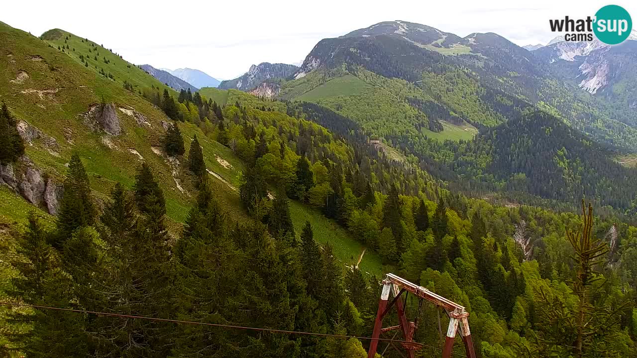 Koča na Golici Webcam (1582 m) – Slowenien