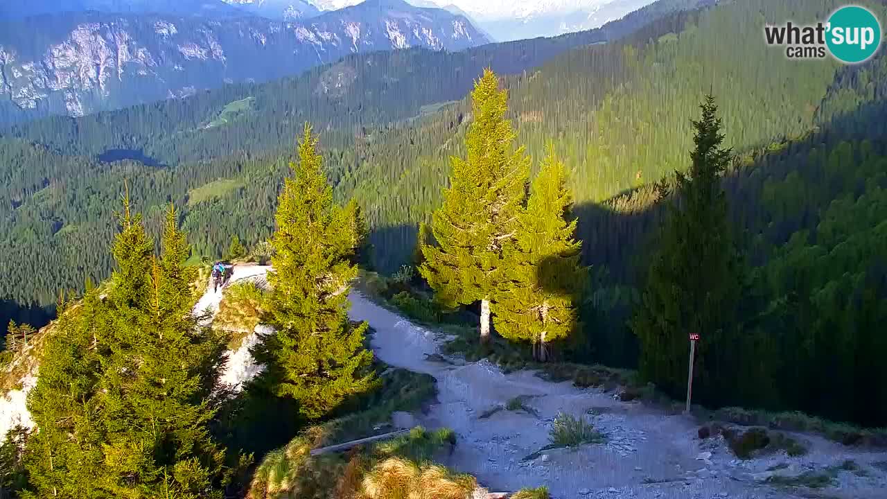 Koča na Golici Webcam (1582 m) – Slowenien