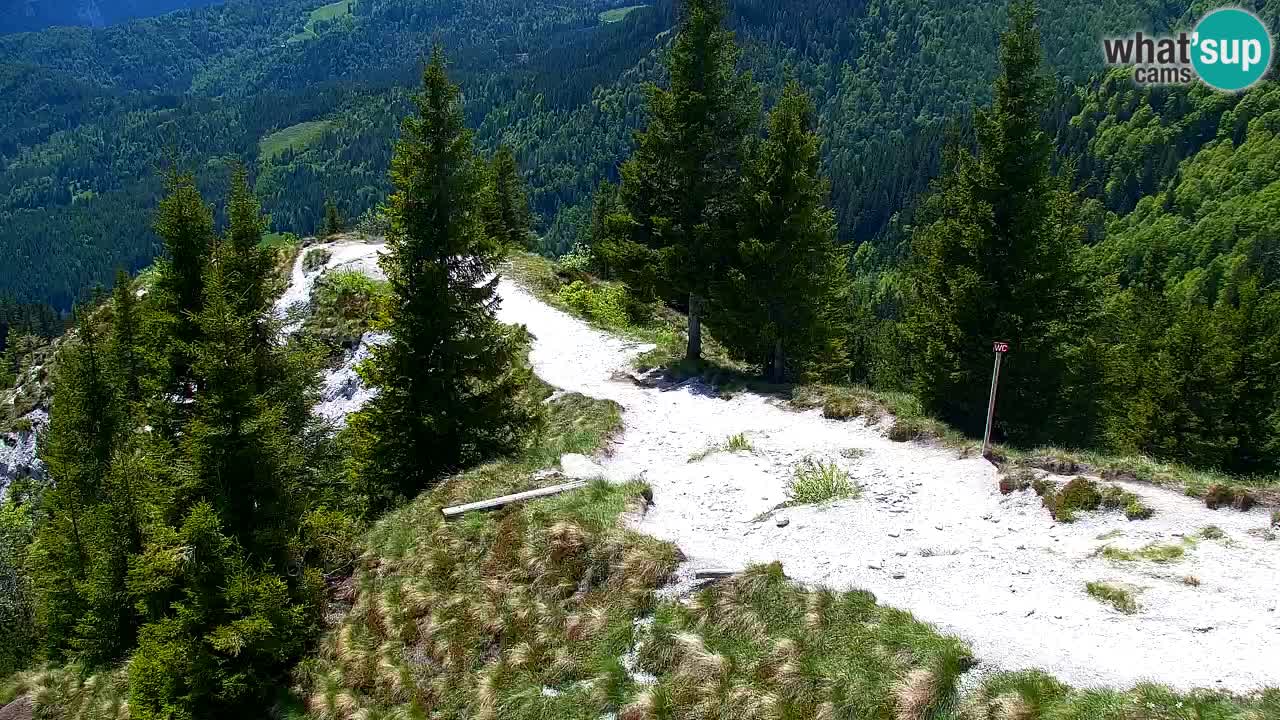 Spletna kamera Koča na Golici (1582 m) – Jesenice