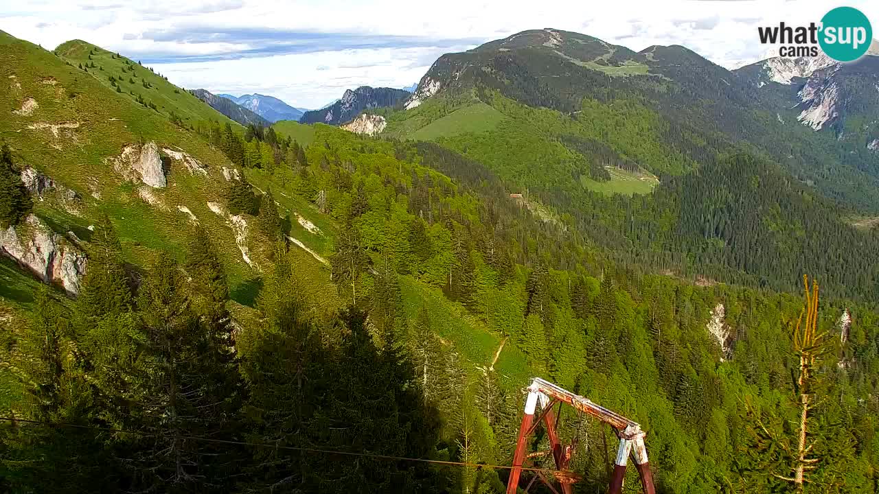 Koča na Golici Webcam (1582 m) – Slowenien