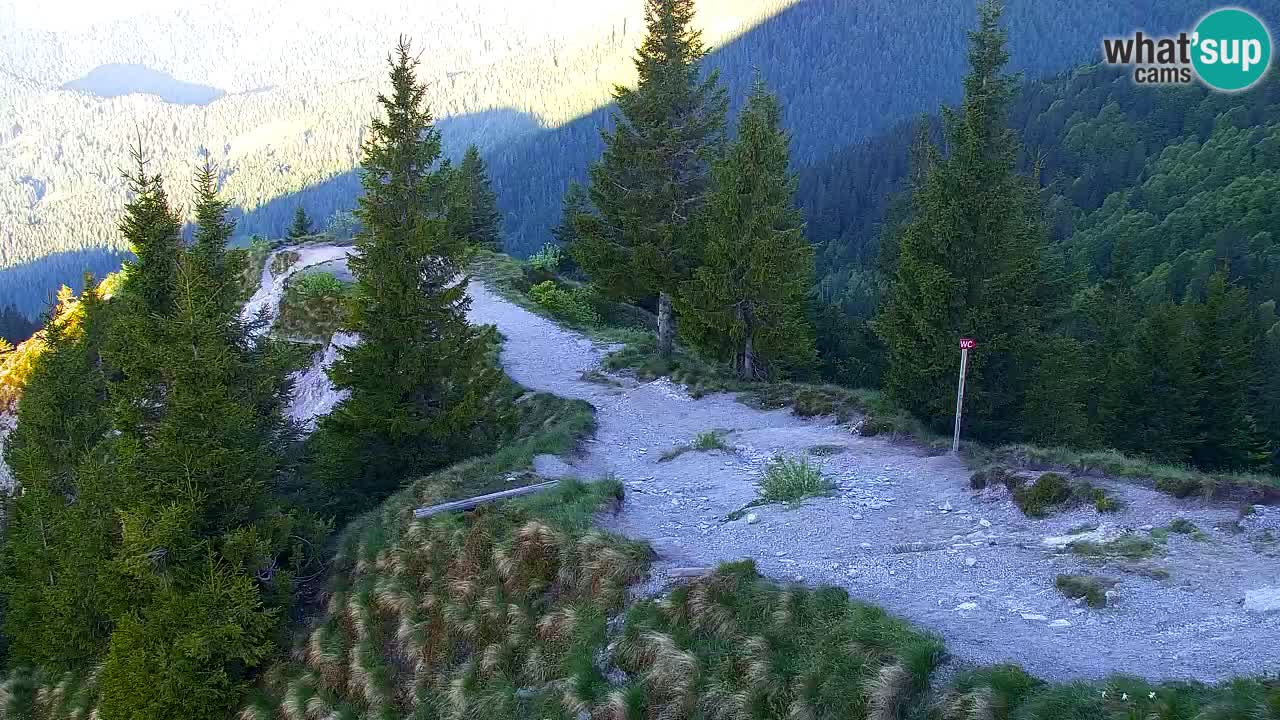 Spletna kamera Koča na Golici (1582 m) – Jesenice