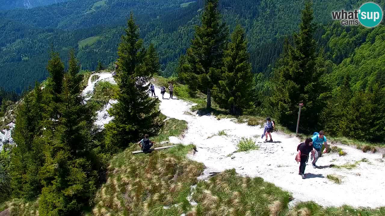 Koča na Golici Webcam (1582 m) – Slowenien