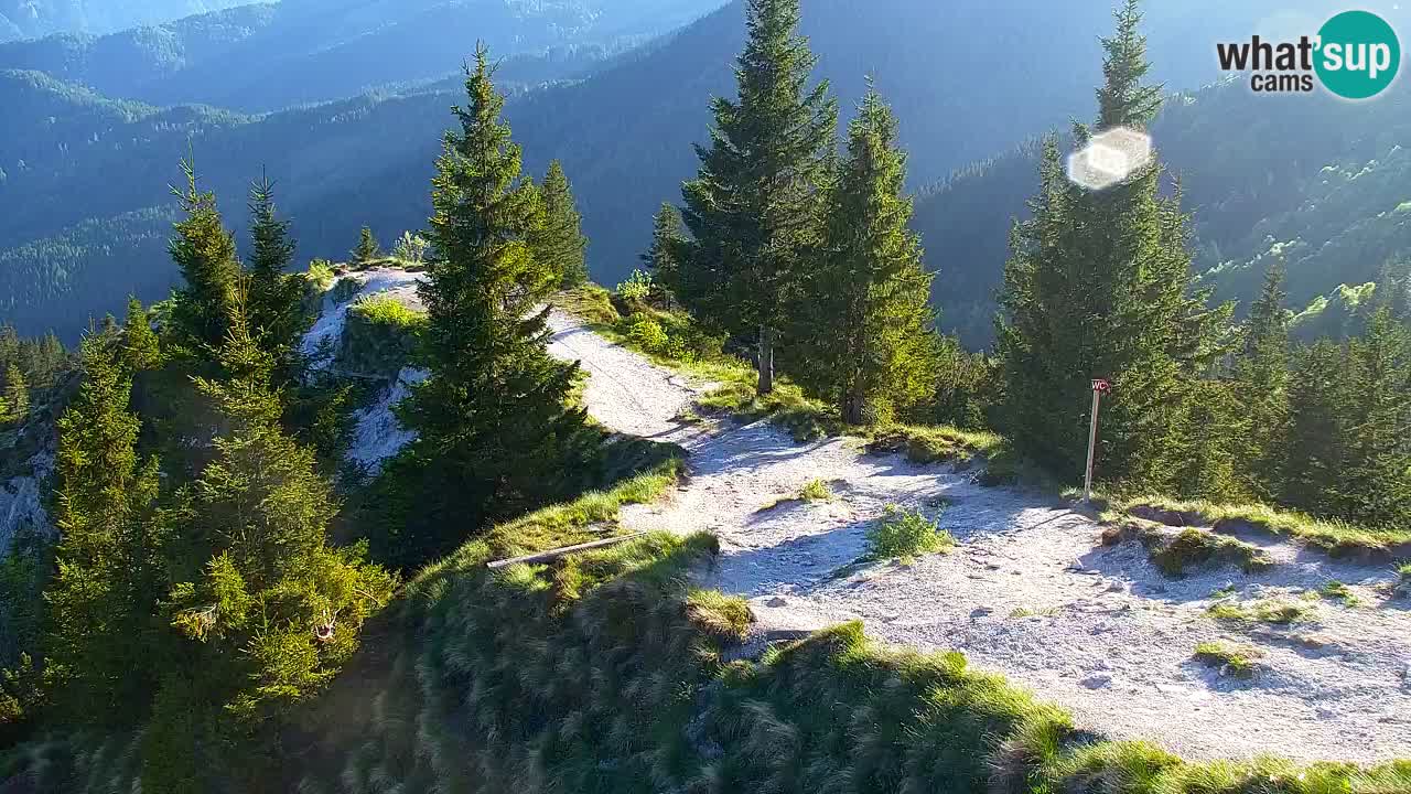 Spletna kamera Koča na Golici (1582 m) – Jesenice