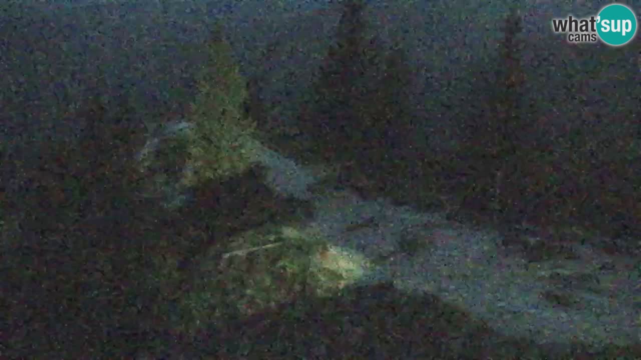 Webcam Chalet sur Golica (1582 m) – Slovénie